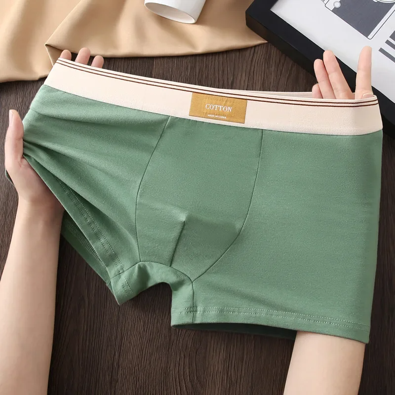 Katoenen Boxershorts Theory